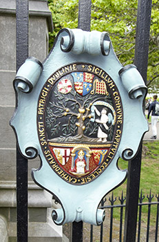 skjoldet